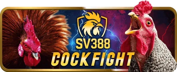 Đá gà trực tuyến kịch tính tại 67win